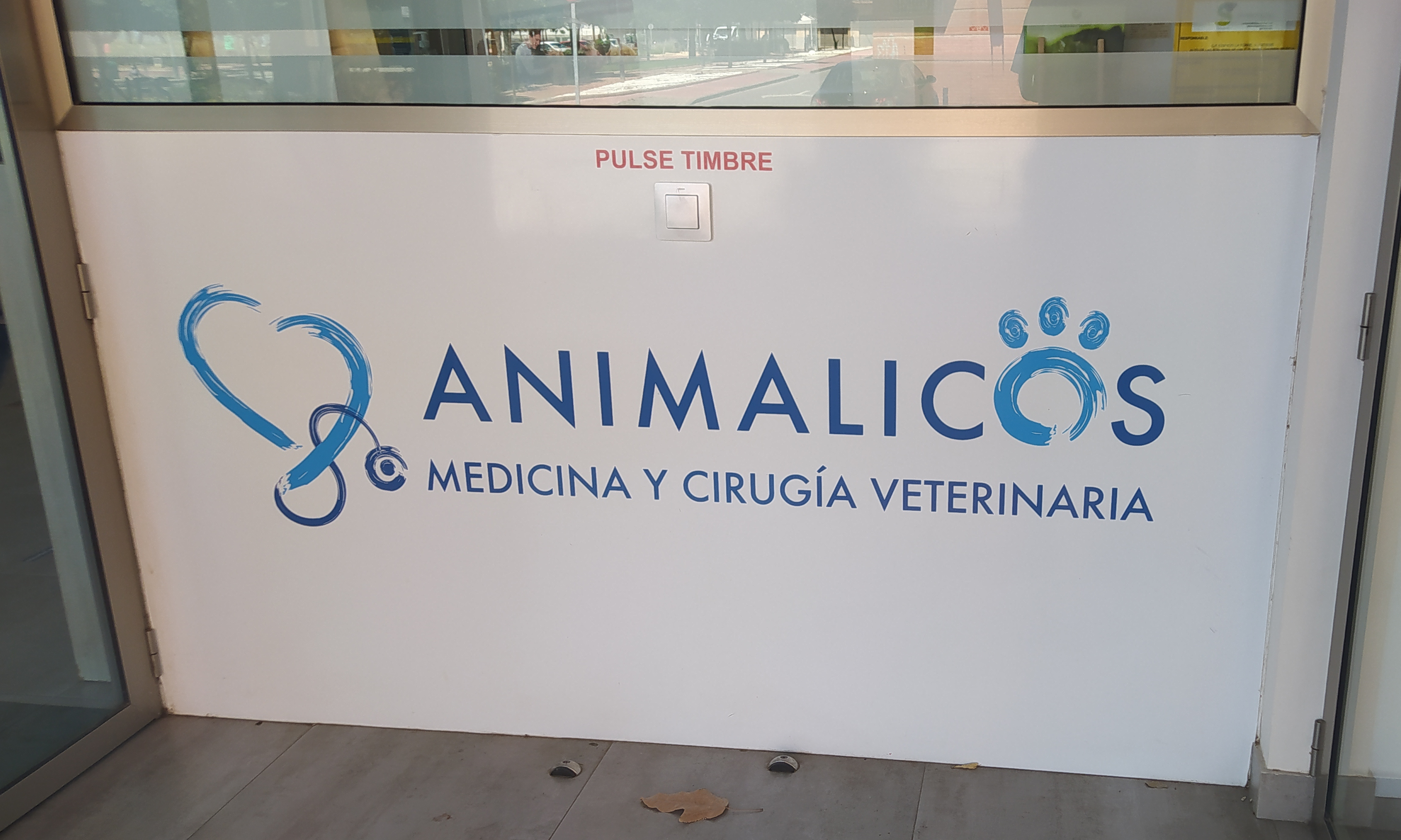 Centro veterinario